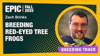 Breeding Red Eyed Tree Frogs  - EPIC Fall 25