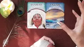 EMOTIONAL HEALING🕊❤️| A TSUNAMI 🌊 WHICH IS LEADING YOU BACK TO THE SHORE 🏖 | COLLECTIVE READING 