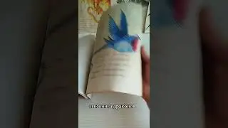 тгк: книга драконов #творчество #искусство #dragon #art #httyd #love #художник #adventure #music #та