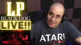 LP Live (Led Zepplin Black Dog Cover at Bardot) Shakes - P Reacts