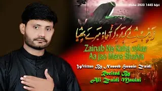 Aa Jao Mere Bhaiya |Ali Zaidi Maulai Nohay 2023 | Muharram 2023/1445