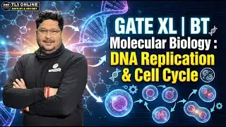 Master DNA Replication & Cell Cycle | Important Topic for GATE XL/BT