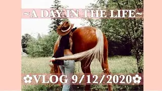Day In The Life Vlog! Selling Horses + Packing for a Big Race! 9/12/2020