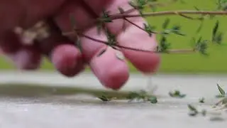 Stripping Thyme