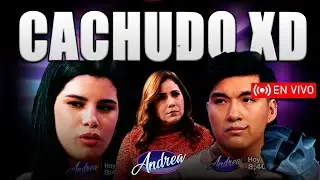 STINGER Y VENECIA EN ANDREA XDD, REACCIONANDO AL CACHUDO INTERNACIONALXDD