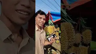 Durian Madura Atau Wonosalam? Yang penting enak! Durian Simas