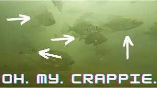 This Spillway is FULL of Crappie and Bass!!! GoPro in Dewey Spillway!