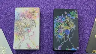Lili White & Lili Black ~ Silent, Fast,  Flip Through