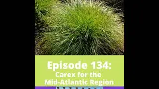 Carex for the Mid-Atlantic Region