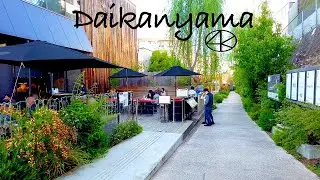 【東京散歩】代官山の北側散策 4K Daikanyama north walk