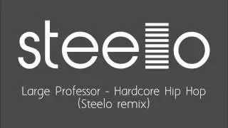 Large Professor - Hardcore Hip Hop (Steelo remix)