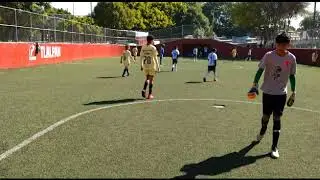 DEPORTIVO VAQUERITOS -FUT 7 (LO MEJOR DEL TORNEO 2019 AME 10 LUN 0)