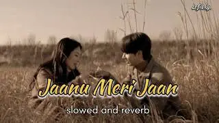 Jaanu Meri Jaan || Slowed and reverb || Ai lofi song || love lofi song || in 2025 #lofi #song #viral