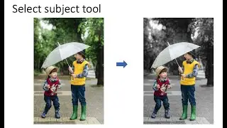 How to colorize part of the picture using "select subject" tool in Photoshop