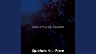 Fashionable Music for 1 Hour Spa