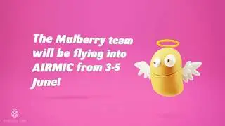 Mulberry Risk AIRMIC 2019 Underperforming Book