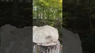 AR 15 on cement block