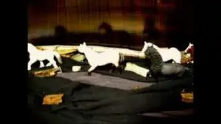 (Schleich Chevaux) La Harde de Rendorie - Episode 6