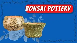 Bonsai Pottery | Fresh out of the Kiln 盆栽花盆 | 剛出爐的作品
