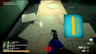 Pirate Perfection PAYDAY:The Heist