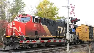 [4K] CN 2798 Coming ’Round the Curve at Brockville’s Oxford Ave. Crossing