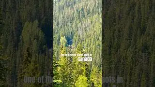 Most breathtaking view in Canada. CPKC Train Cuts Through the Mountains