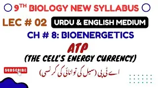 ATP | Cell's Energy Currency | Class 9 Biology Chapter 8 | Bioenergetics | Urdu & English | PTB 2025
