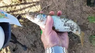פארק נחל לכיש 24/06/2020 Парк Нахаль Лакиш
