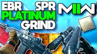 EBR AND SPR PLATINUM CAMO GRIND WAS CHILL