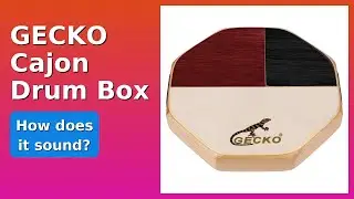 REVIEW (2025): GECKO Cajon Drum Box. Features.