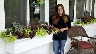 Shade Window Box Arrangement 🌿