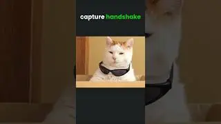 What's a handshake file? #hacking #wifi #security