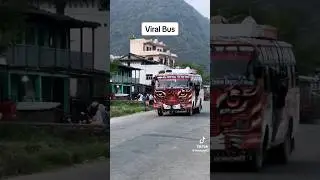 Viral tiger bus #bus #viral #nepal #shortsvideo #viralbus