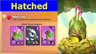 Hatched Big bean Dragon-Dragon Mania Legends | Begin Moose Hero Challenge event || DML