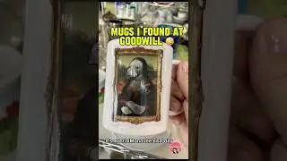 I Found the Most Unhinged Mugs at Goodwill&mdash;You Won&rsquo;t Believe What They Say!