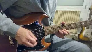 Lenny Kravitz - Human solo cover