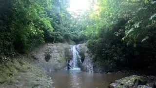 Paige Albertson Guide Nar&oacute;n 