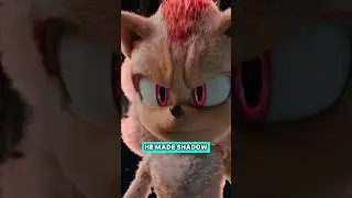 The Most Asked Sonic Movie Question