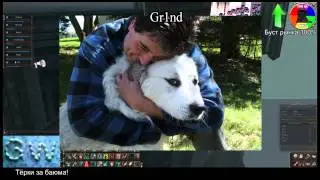 Dar4uk и будни 3610 gaming
