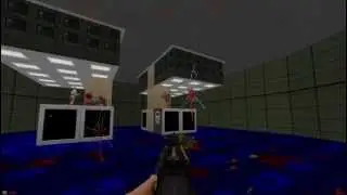Brutal Doom (Skulltag)