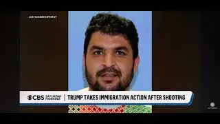 Green cards,Asylum cases Paused and Under review.