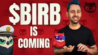 Moonbirds $BIRB Token Explained: SBT Claims, Solana TGE Launch & The Revival of Moonbirds