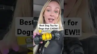 Indestructible dog toy. This is the best chew toy for bulldogs or other dogs that chew! #dogtoy