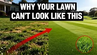Why Golf Course Grass is Different (Can You Grow It?)