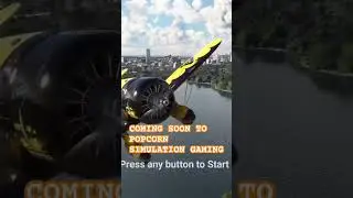 Flight simulator #shorts #viral  #gaming #simulationgaming