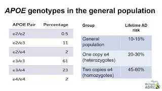 Genetic Risks and Genetics in Clinical Practice