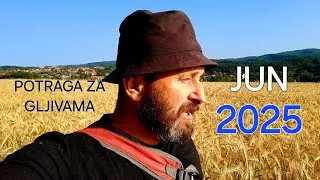 TRODNEVNA-Potraga za gljivama -JUN 2025 god!