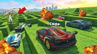 GTA 5 CHOP AND FROSTY NAVIGATE THE HUGE MAZE PARKOUR