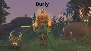 Burly (Strange Looking Dogs}