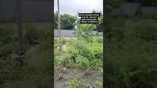 NA plot for sale im charholi #charholi #property #buyplots #realestate #business #businessgrowth